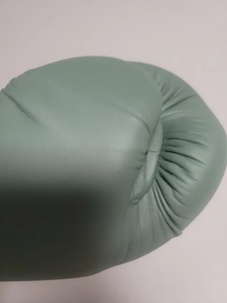 Fairtex F-DAY 0 'F-DAY' ムエタイ ムエタイ・ボクシンググローブ