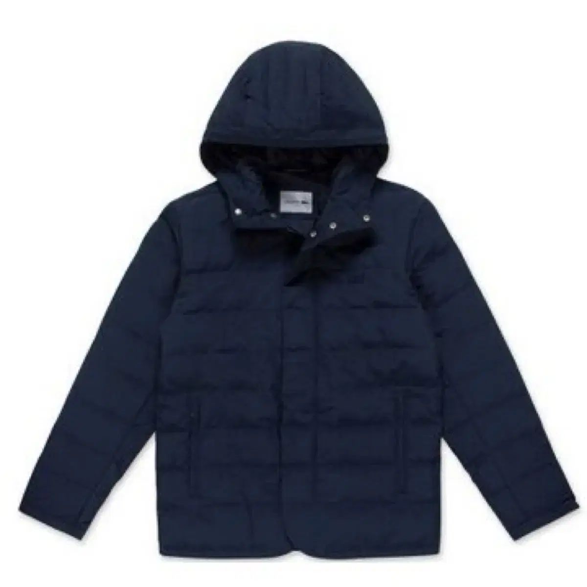 LACOSTE ラコステ 新モデル ダック ダウン