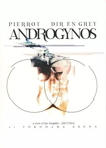 DIR EN GREY PIERROT ANDROGYNOUS 　豪華版　DVD ANDROGYNOS 豪華盤 DIR EN GREY PIERROT Amazon.co.jp: PIERROT DIR EN