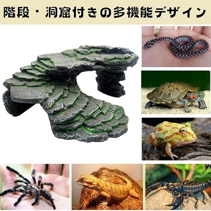 HOTQ HOTQ シェルター 爬虫類 洞窟 階段 テラリウム 苔 亀 陸地