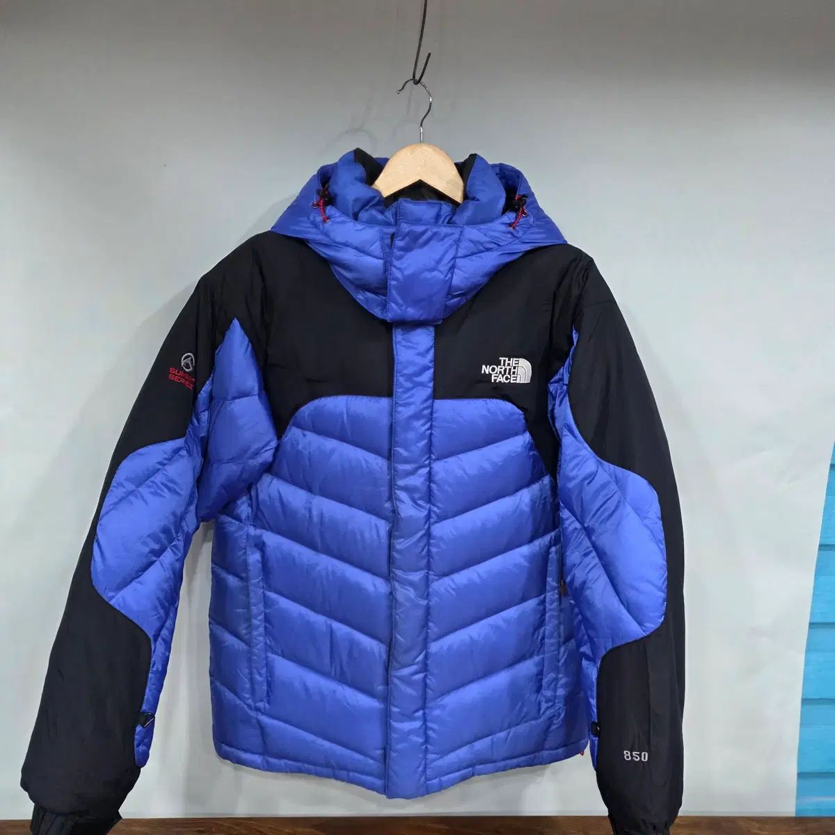 THE NORTH FACE コレクション 850フィル サイズ100 グースダウン