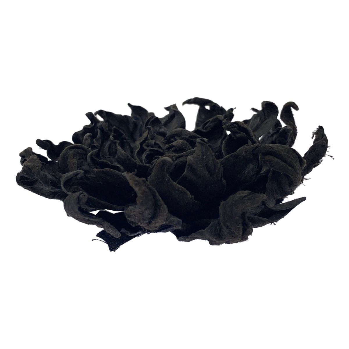 ARCHIVIO J.M. Ribot アルキビオ 工場 J.M. リボット フラワー