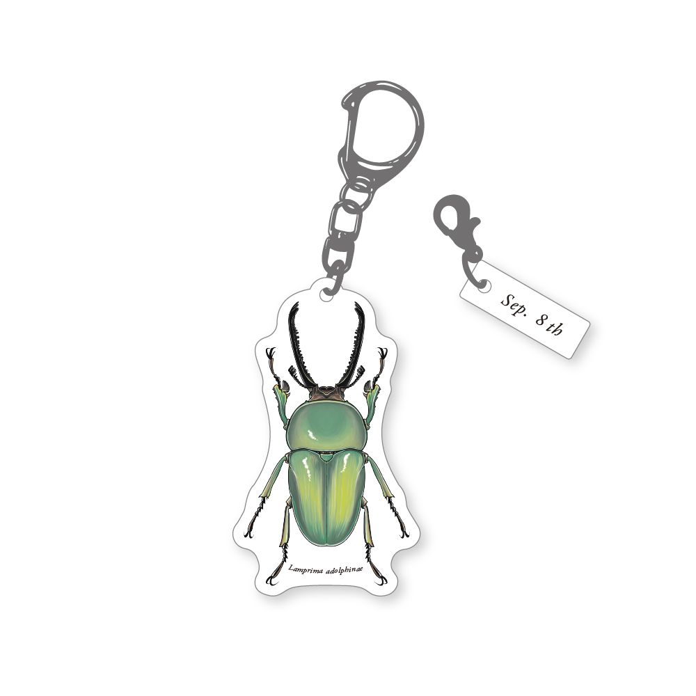 366日昆虫アクリルキーホルダー 9月8日 パプアキンイロクワガタ 虫好き