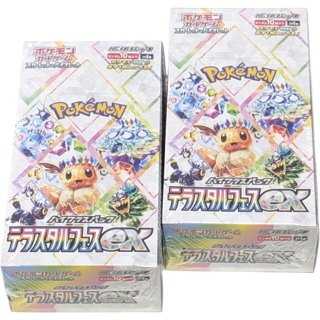 匿名配送 24時間以内発送 新品 2BOX シュリンク付き テラスタルフェス