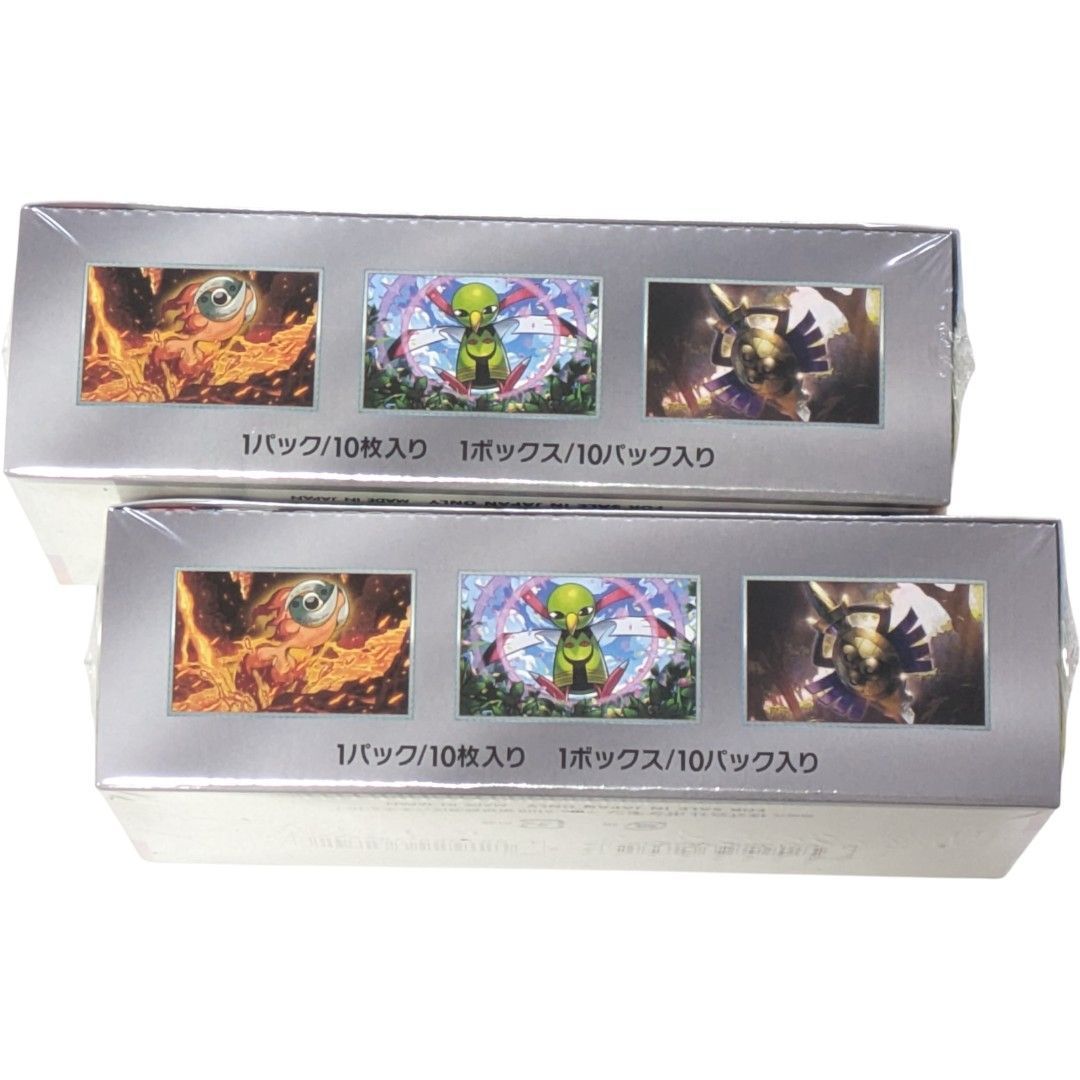 匿名配送 24時間以内発送 新品 2BOX シュリンク付き テラスタルフェス