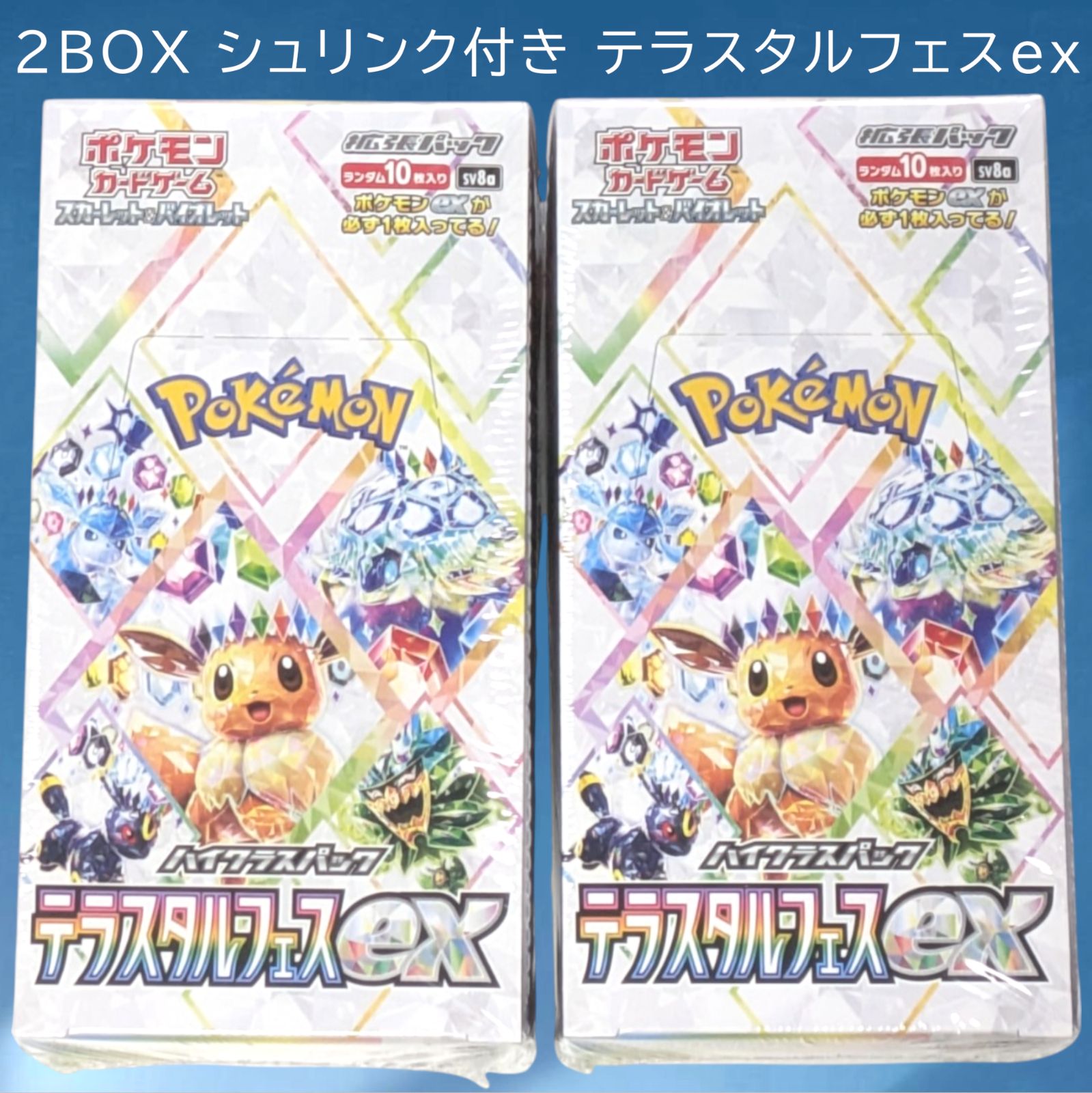 匿名配送 24時間以内発送 新品 2BOX シュリンク付き テラスタルフェス