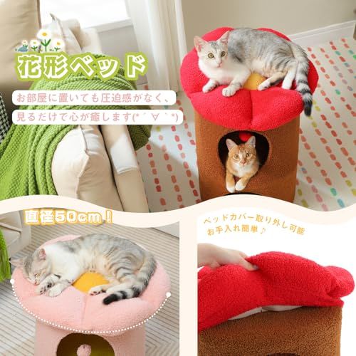 PAWZ Road 猫 ハウス キャットタワー オシャレ ペットハウス 猫ベッド