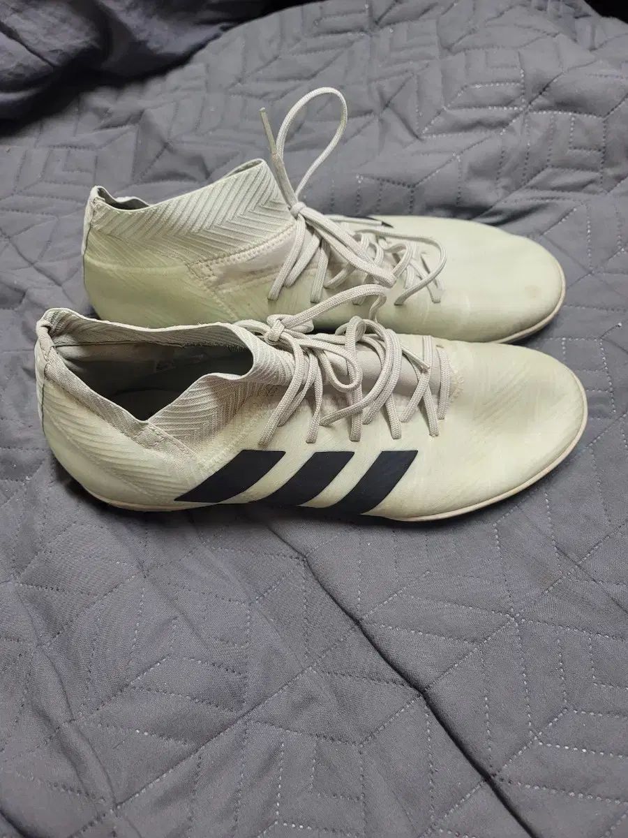 アディダス 풋サルシューズ