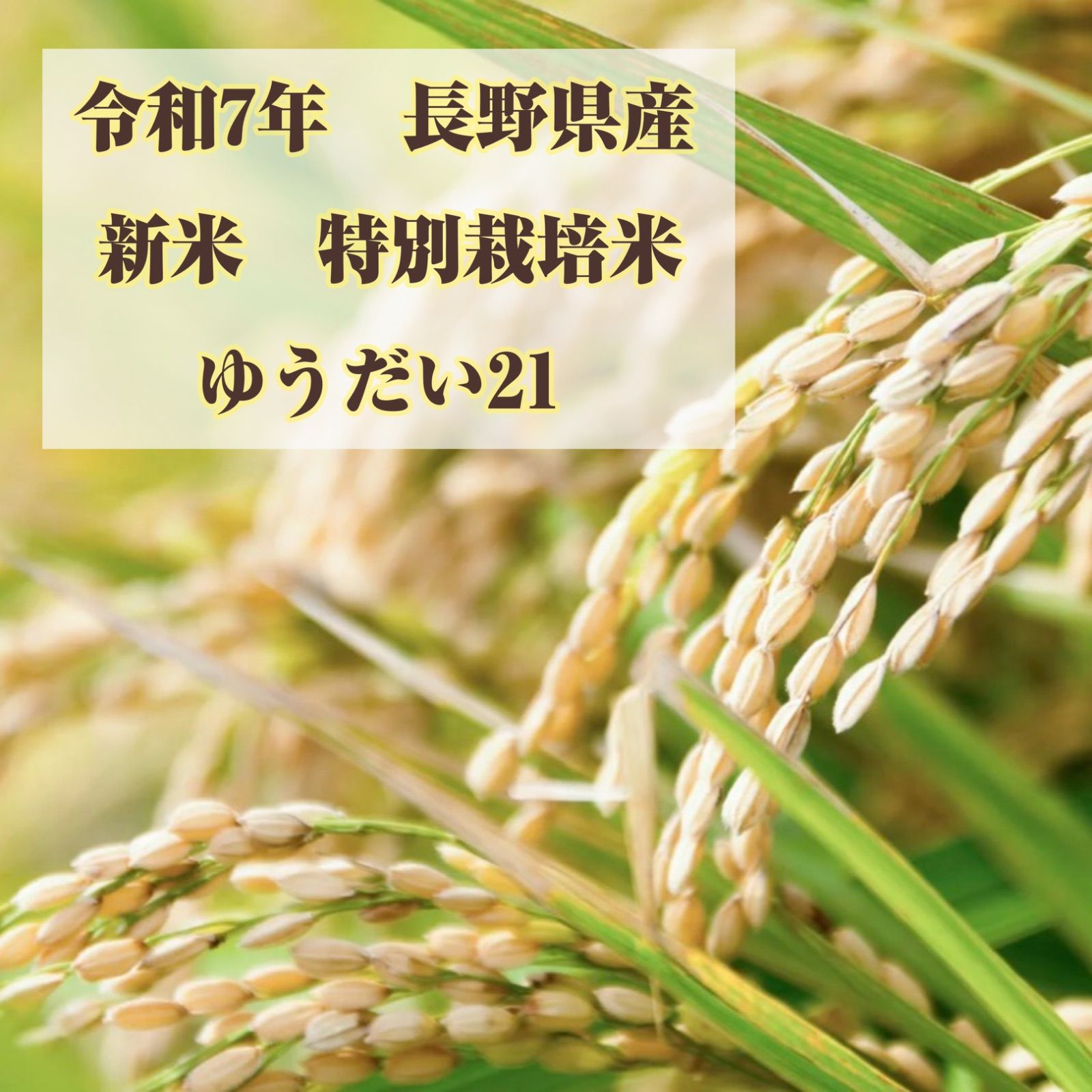 新米 令和7年産 長野県産 ゆうだい21 玄米30kg - メルカリ