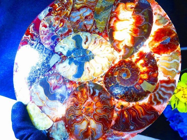 数万個の中の一個☆天然マダガスカル産 ☆ 縫合線オパールアンモナイト