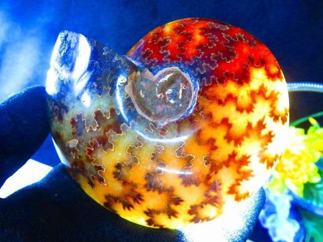 数万個の中の一個☆天然マダガスカル産 注文 ☆ 縫合線オパール