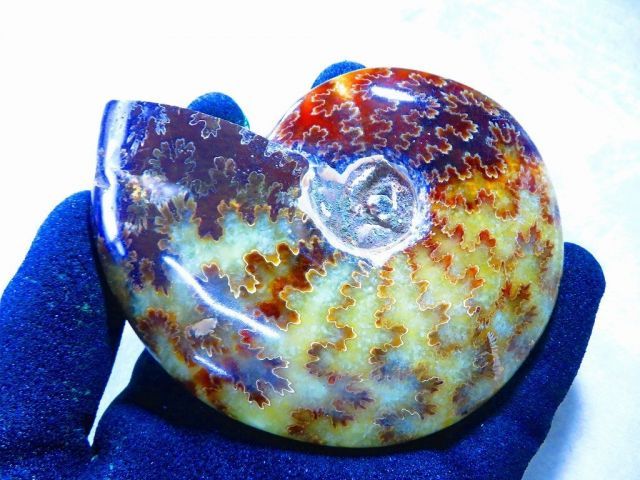 数万個の中の一個☆天然マダガスカル産 注文 ☆ 縫合線オパール