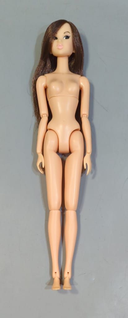 お買い得，高品質 ペットワークス CCS-momoko Today's momoko アラカルト 人形本体
