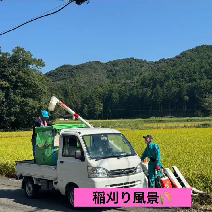 新米 大分県産 山香米(ヒノヒカリ) 3kg 令和7年産- メルカリ
