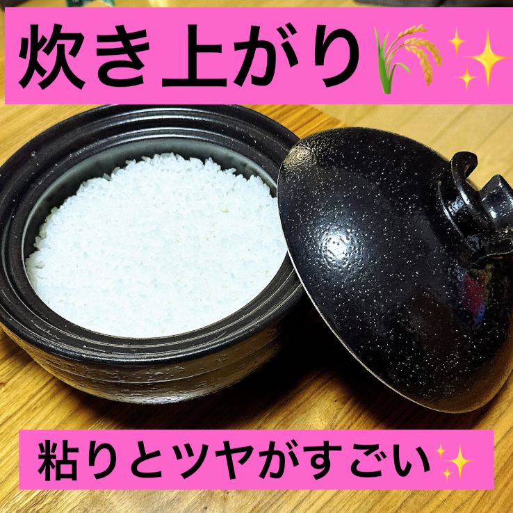 新米 大分県産 山香米(ヒノヒカリ) 3kg 令和7年産- メルカリ