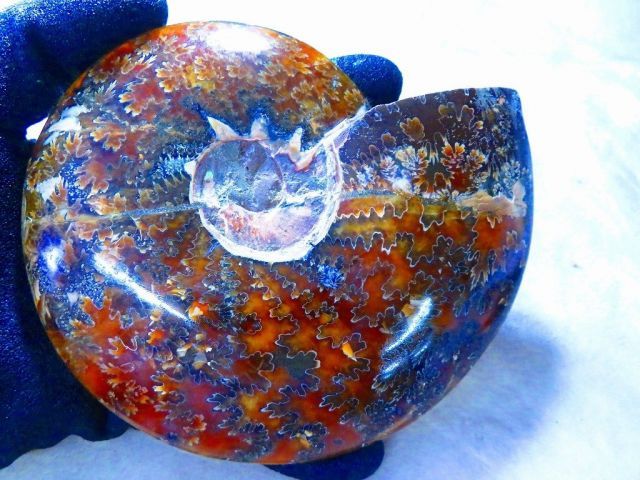 注文 数万個の中の一個☆天然マダガスカル産 ☆ 縫合線オパール