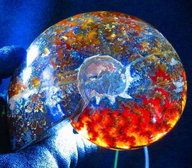 注文 数万個の中の一個☆天然マダガスカル産 ☆ 縫合線オパール