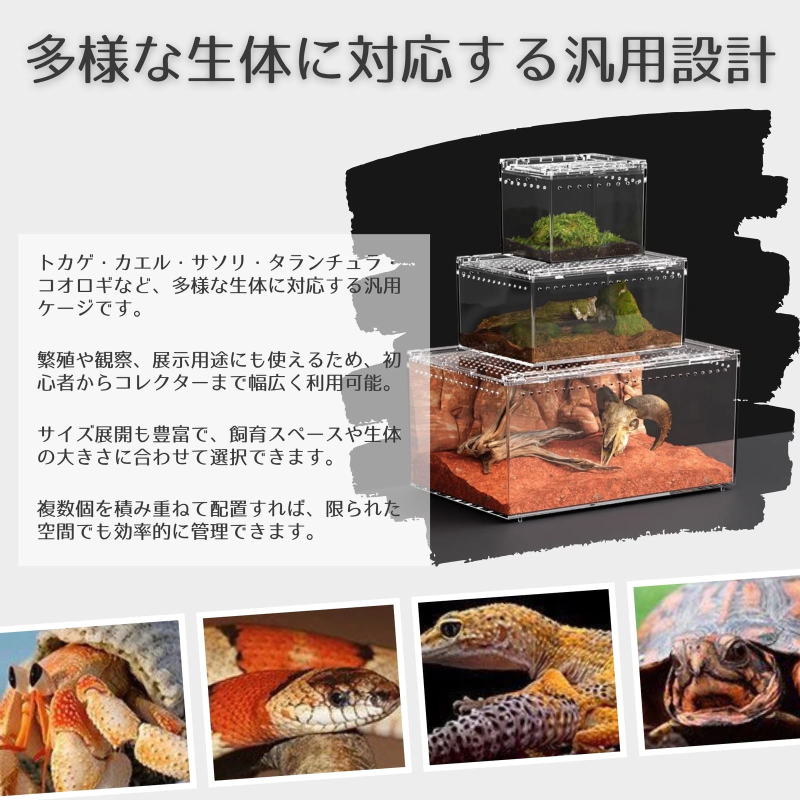 Neutral Zenith 爬虫類 ケージ シェルター 飼育ケース アクリル製