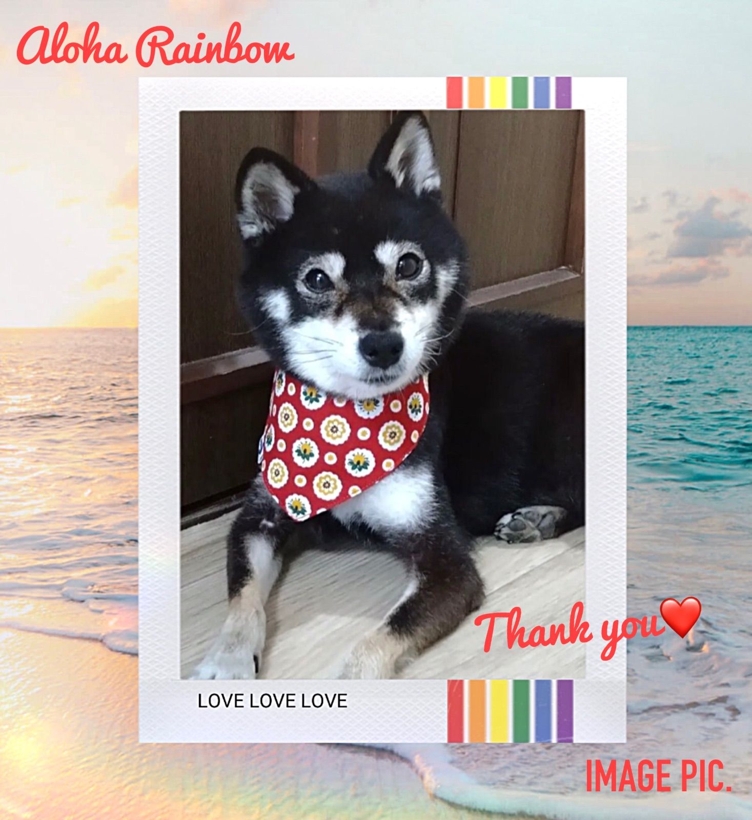 ☘️No.2780☘️ 犬猫用 リバーシブル バンダナ スタイ Lサイズ 花柄