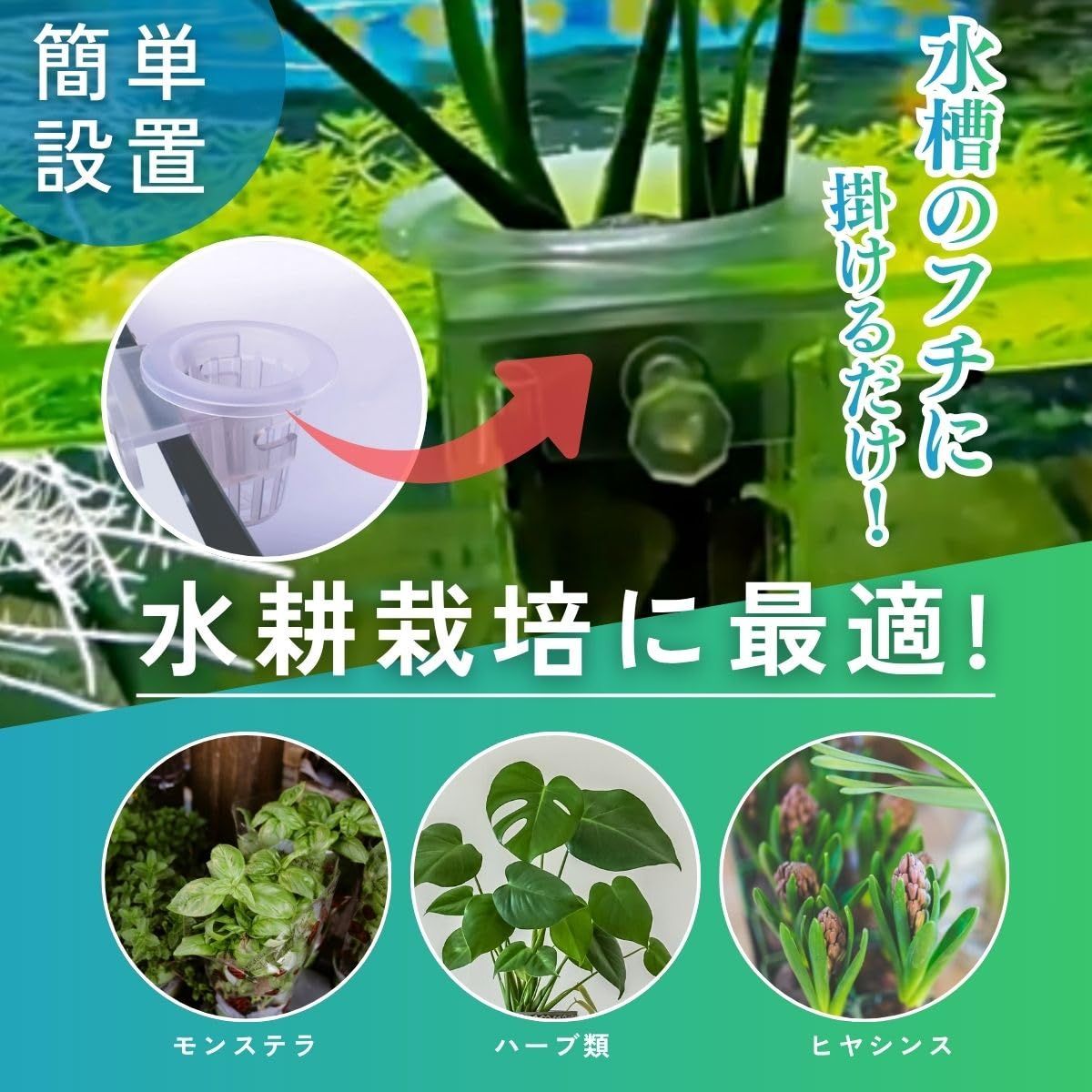 SALUDABLE 水草 水耕栽培 ポット アクアリウム ハイドロカルチャー 
