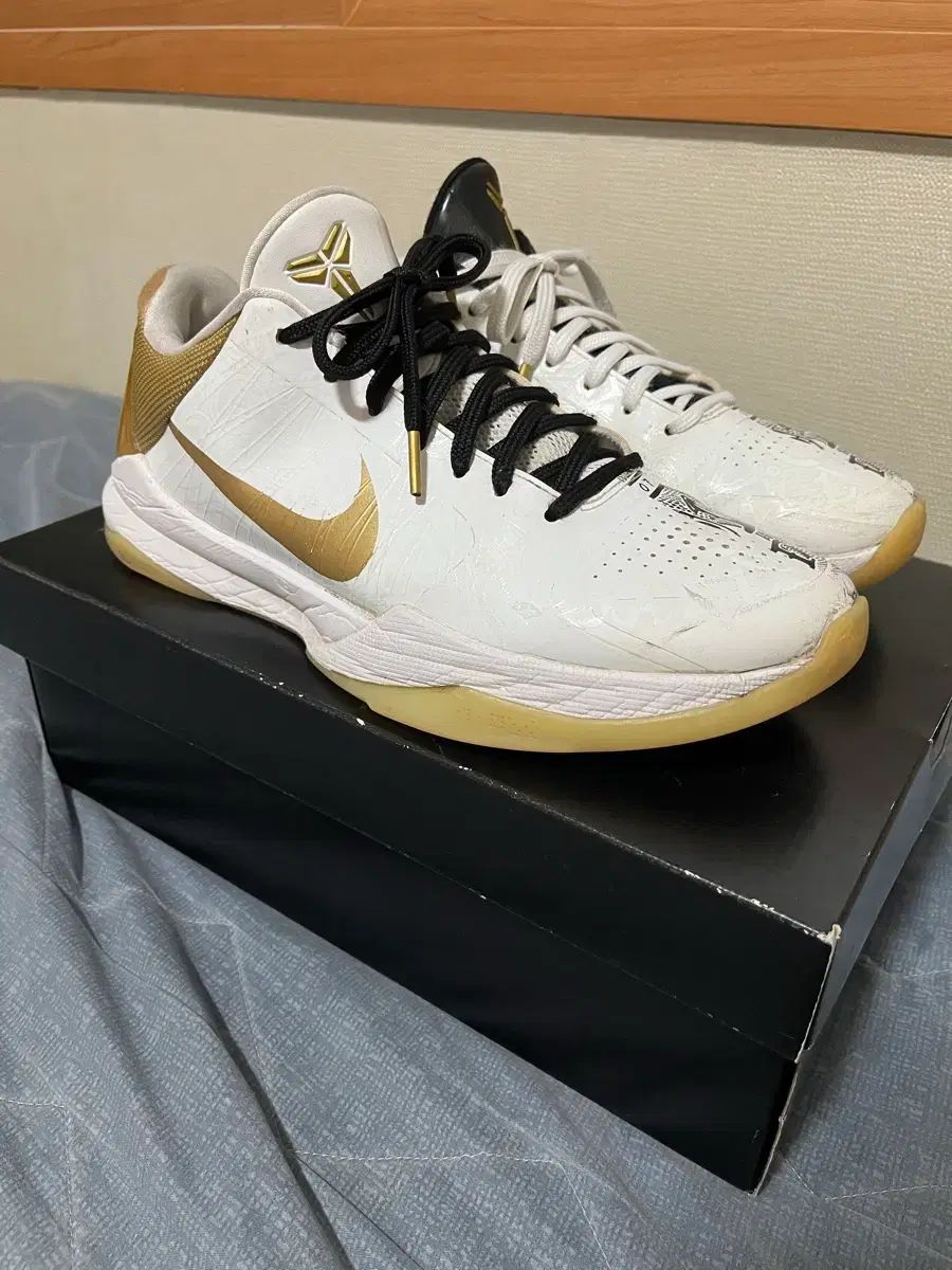 コービー5 BIGSTAGE 270