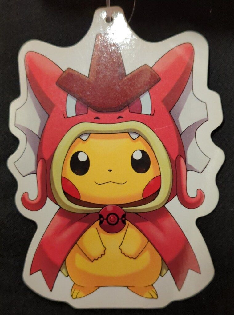 ポケモンセンター ぬいぐるみ/ギャラドスごっこピカチュウ