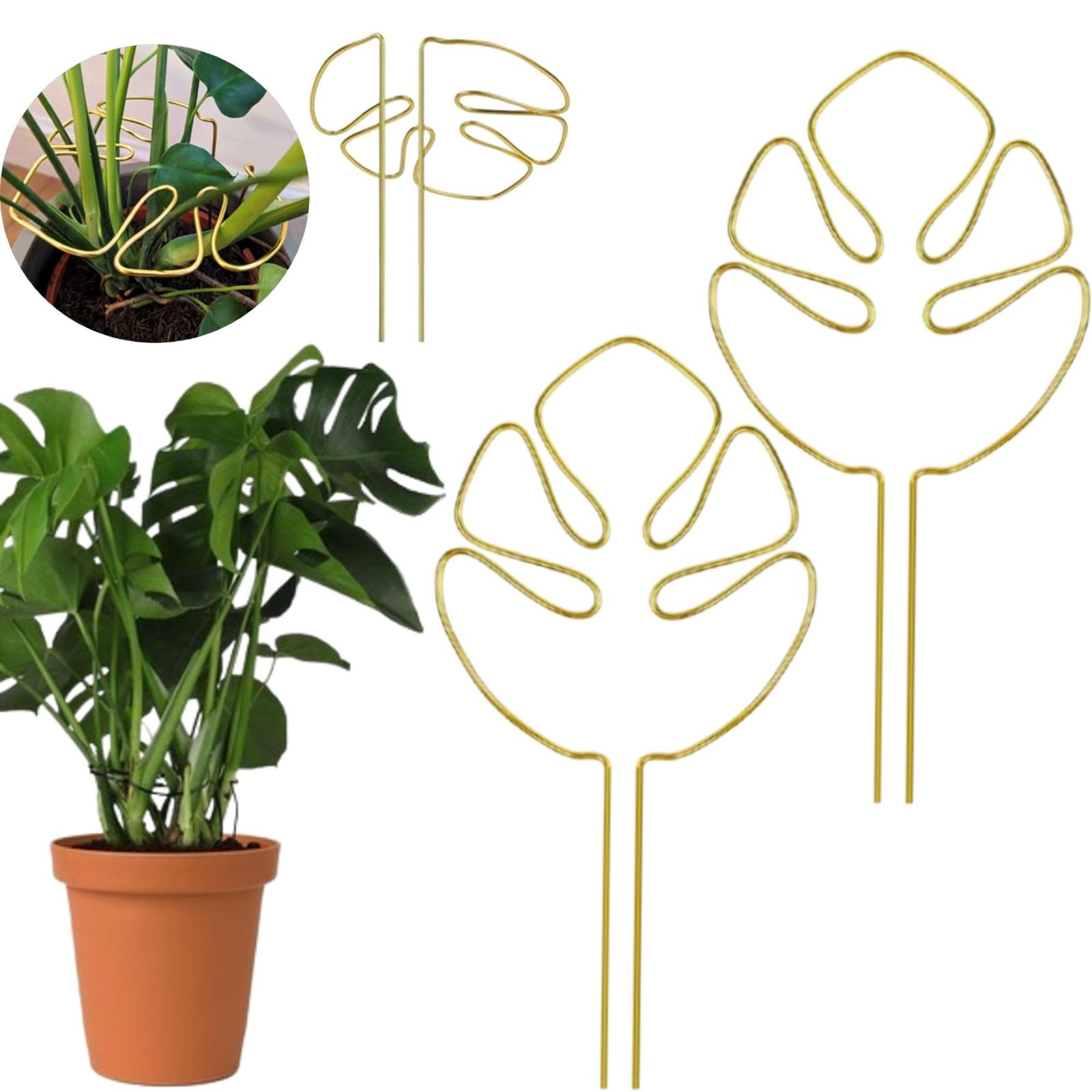 merrytime 園芸 モンステラ 観葉植物サポート 倒れ防止 モンステラ