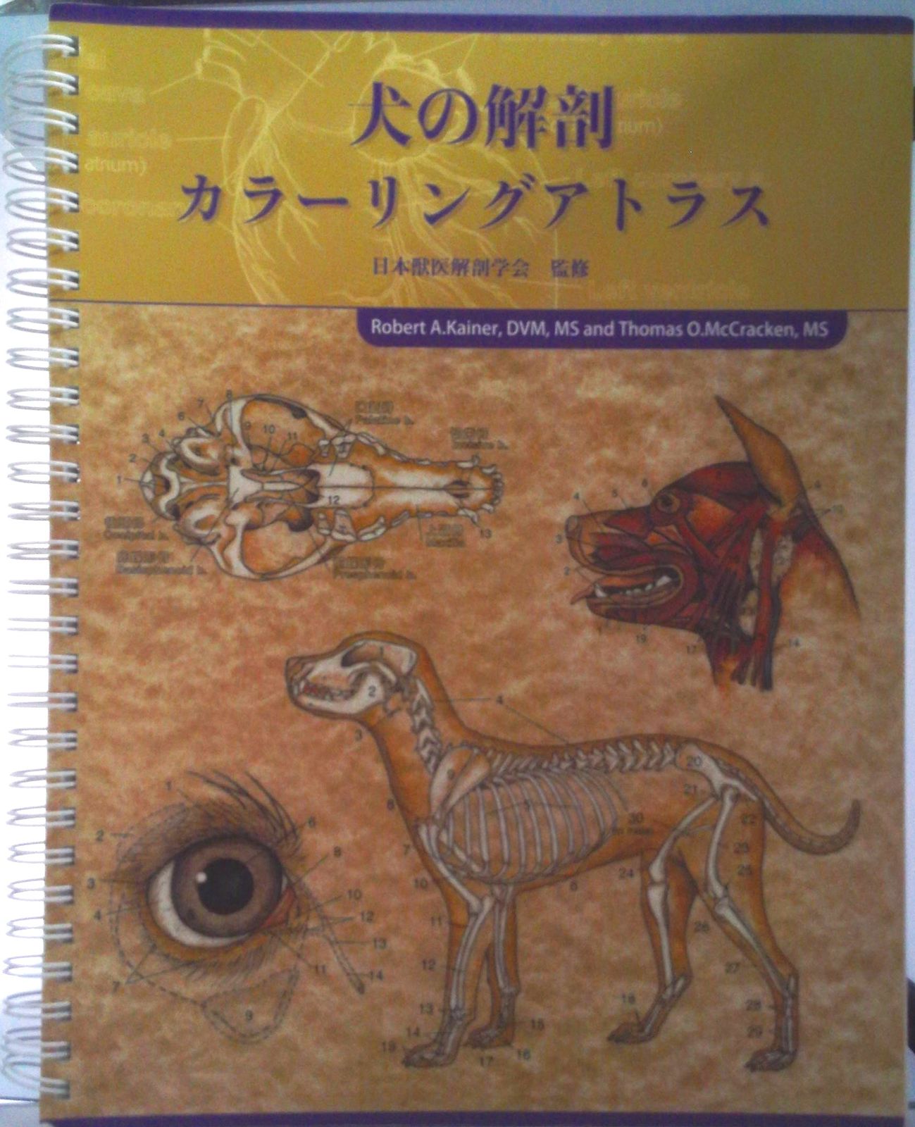 犬の解剖カラ-リングアトラス/学窓社/日本獣医解剖学会（単行本