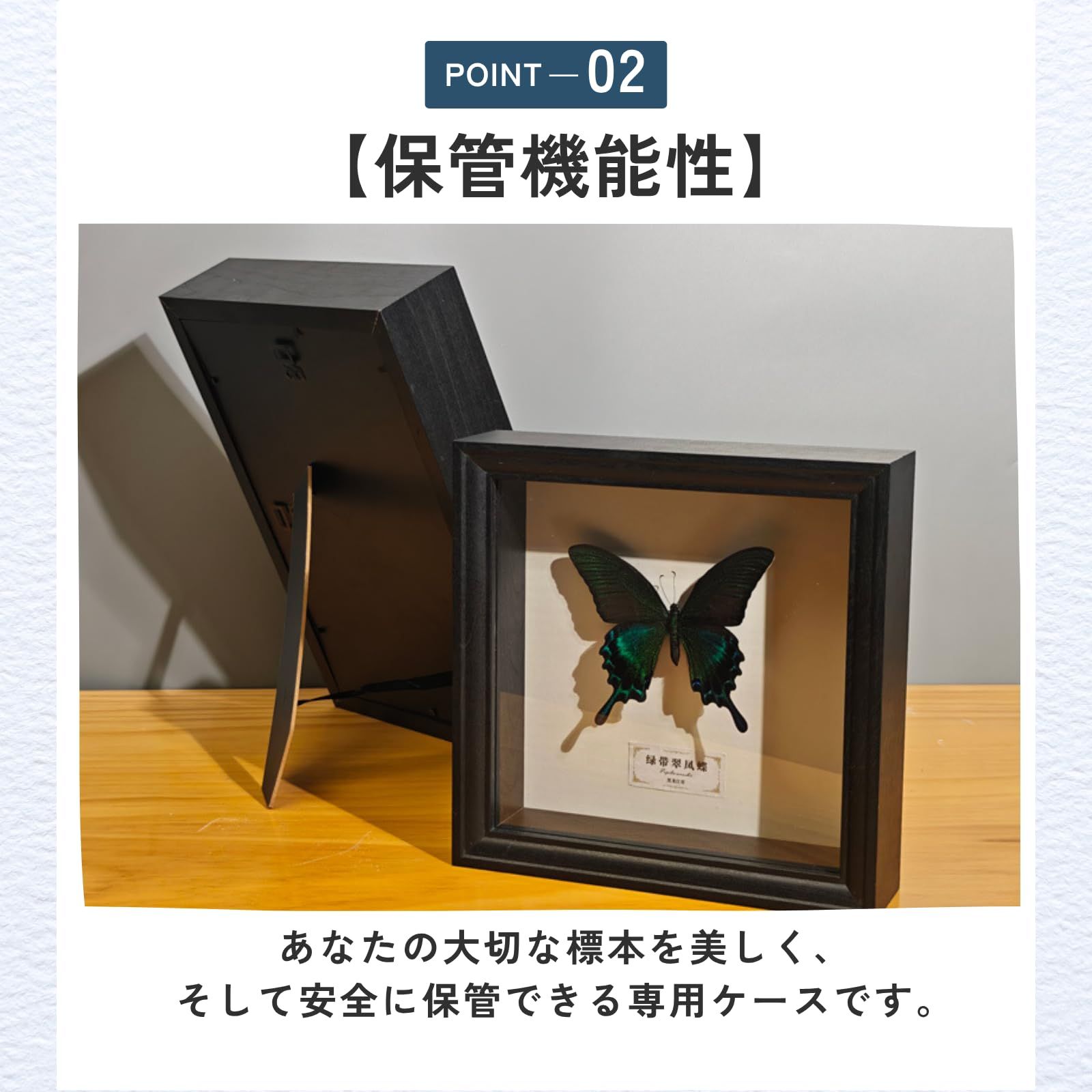 ideamall 標本箱 昆虫 シーラケース 透明標本 小型 木製 蝶々