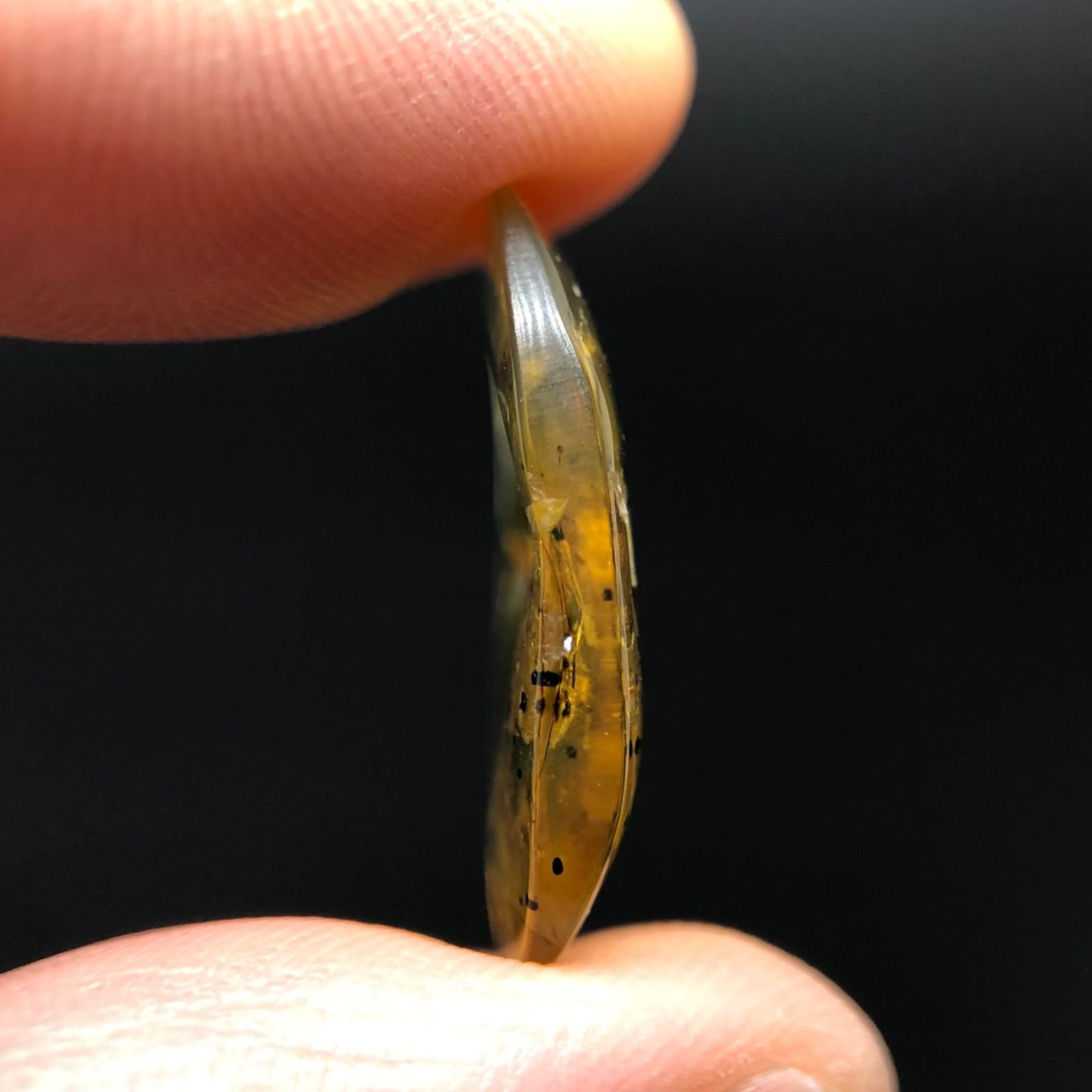 琥珀　化石　サソリ　バーマイト中生代白亜紀 琥珀 化石 サソリ バーマイト中生代白亜紀