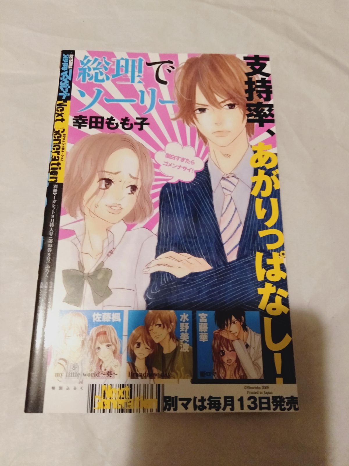 付録冊子のみ】マーガレット 2009年 9月号 別冊ふろく ネクスト