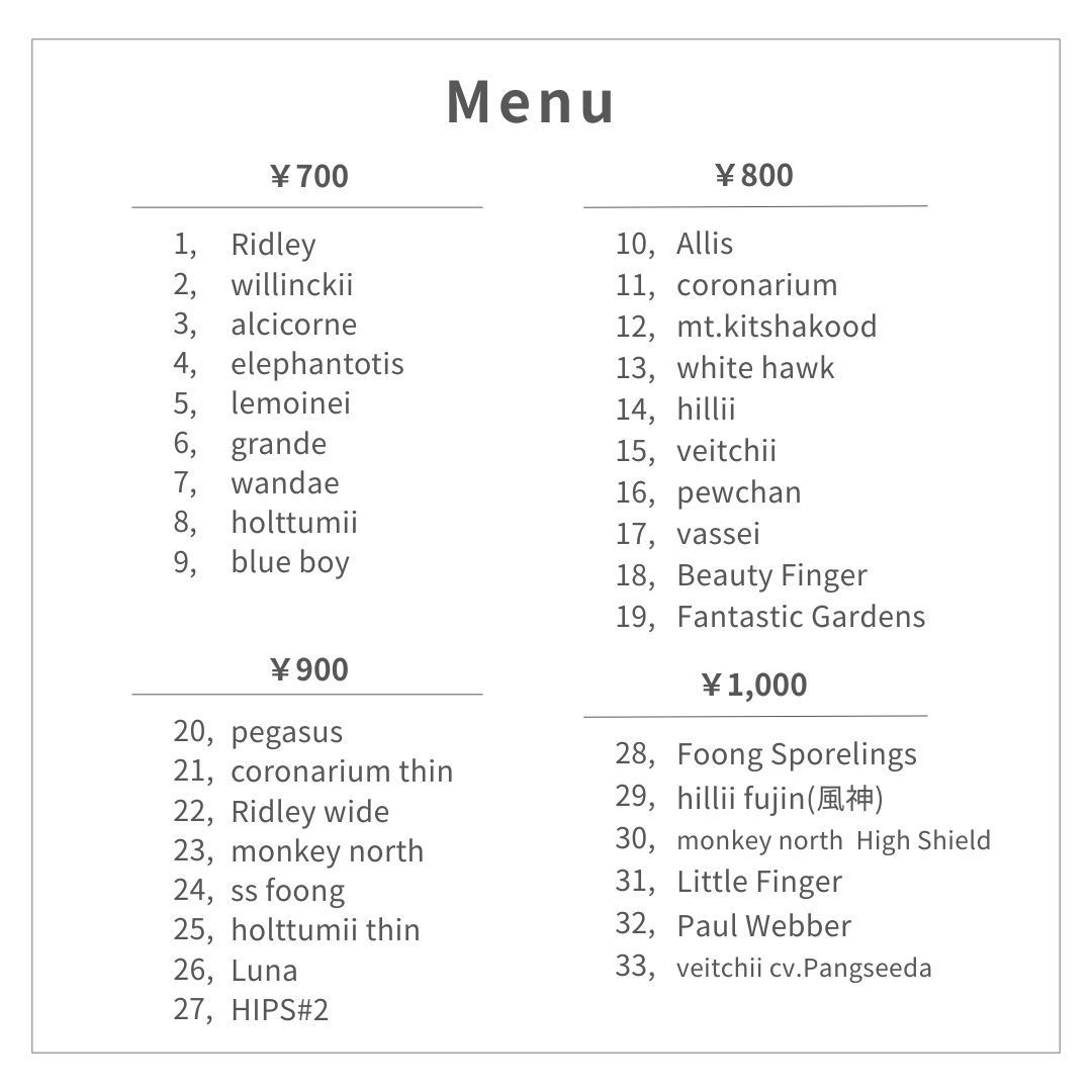 胞子] Woot#9 ビカクシダ - メルカリ