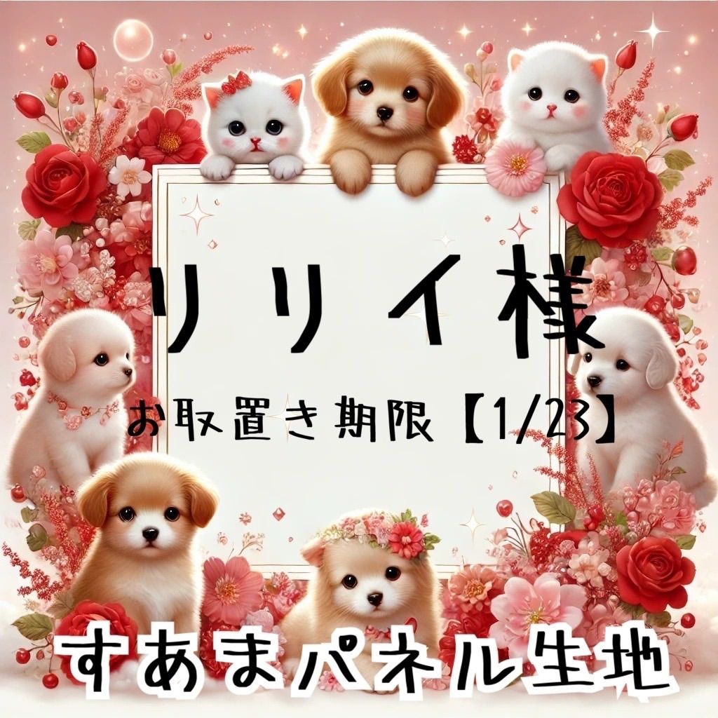 コレクション リリイ様 リリイ様 リクエスト 2点 まとめ商品 普通の