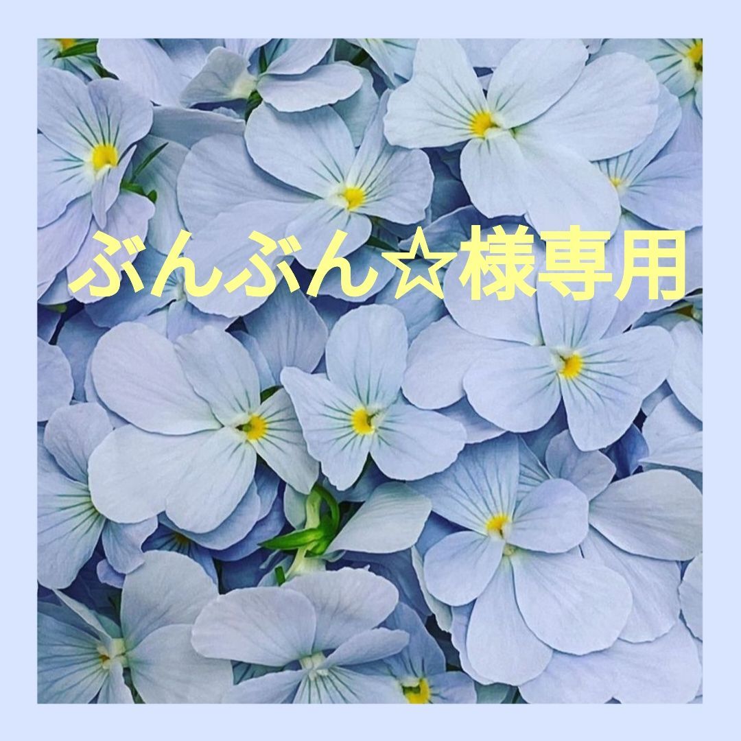 ぶんぶん☆様専用 - メルカリ