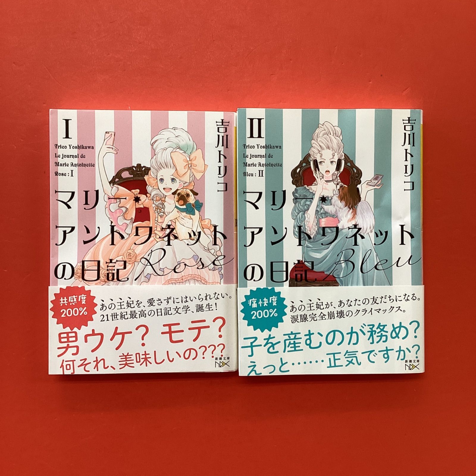 マリーアントワネット マリー・アントワネット』E.ヴィジェ・ルブラン／イタリア メリ