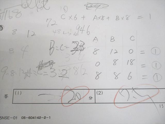 SAPIX サピックス 小6 算数 桜蔭コース 夏期集中志望校錬成特訓 NaOU