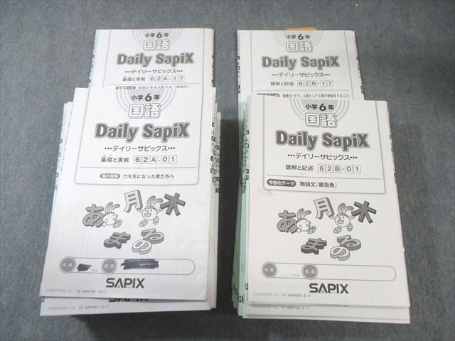 SAPIX 小6 デイリーサピックスA/B 国語 【計34回分】 2023 120L2C