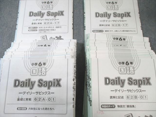 SAPIX 小6 デイリーサピックスA/B 国語 【計34回分】 2023 120L2C