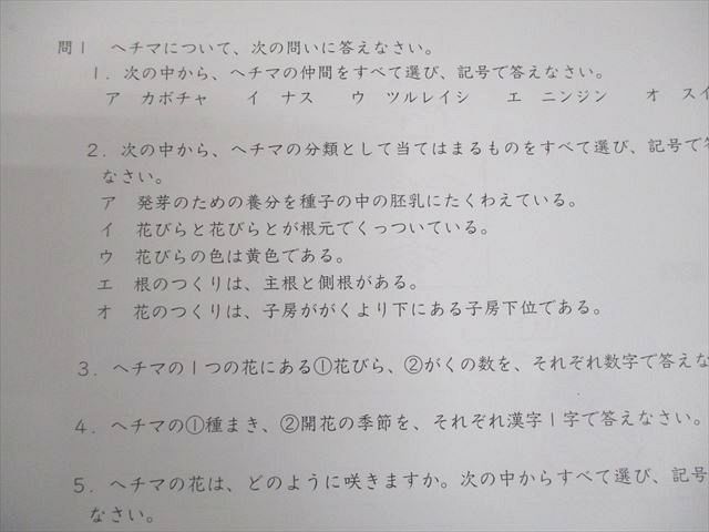 SAPIX サピックス 小6 理科 慶應コース SS特訓 KE 第1～11回 テスト計