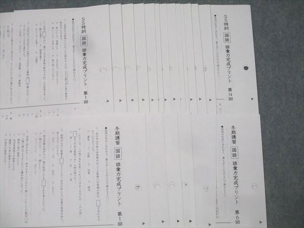 SAPIX サピックス 小6 SS特訓/冬期講習/正月特訓 国語 語彙力完成