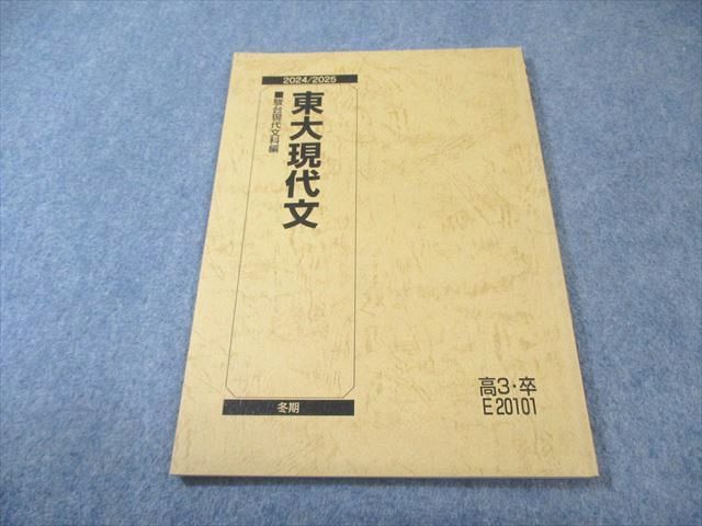 駿台 東大現代文 2024 冬期 多田圭太朗 007s0C - メルカリ