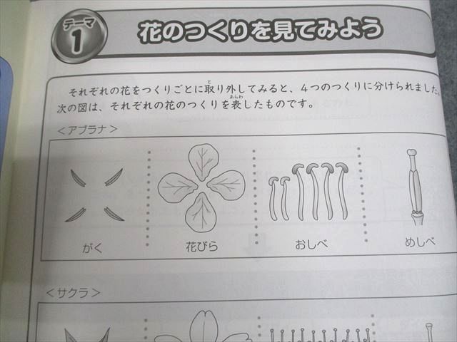 SAPIX サピックス 小3 理科 サイエンス・ウォッチ デイリーサピックス