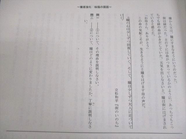 早稲田アカデミー 小6 NN志望校別コース[後期] 徹底強化 桜蔭の国語