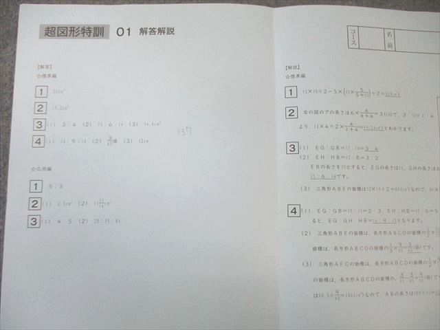 SAPIX サピックス 超図形特訓 標準編/応用編 算数 【計19回分】 2023