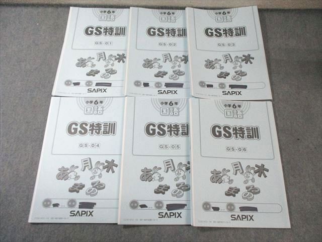 【書込みなし】SAPIX サピックス　ゴールデンウィーク　GS特訓　2024年度 書込みなし】SAPIX サピックス ゴールデンウィーク GS特訓 2024年度