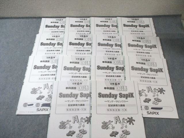 SAPIX 小6 サピックス SS特訓 国語 記述表現力講座 【全14回分フル