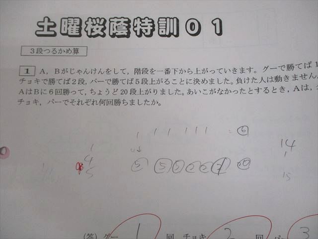 SAPIX サピックス 小6 算数 桜蔭コース 土曜桜蔭特訓01～14 テスト計14