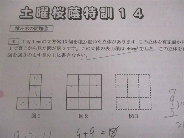 SAPIX サピックス 小6 算数 桜蔭コース 土曜桜蔭特訓01～14 テスト計14
