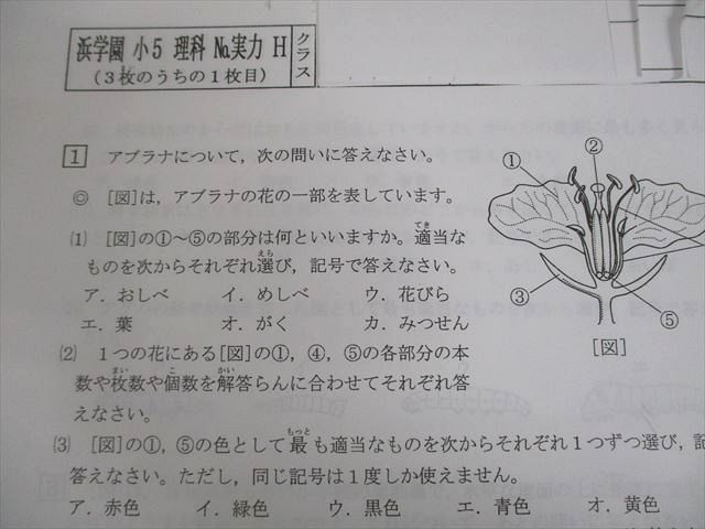 浜学園 小5 理科 H 復習テスト No.1〜42/実力 テスト計43回 通年セット 024S2D 浜学園 小5 理科 H 復習テスト No.1～42/実力 テスト計43回 通年セット