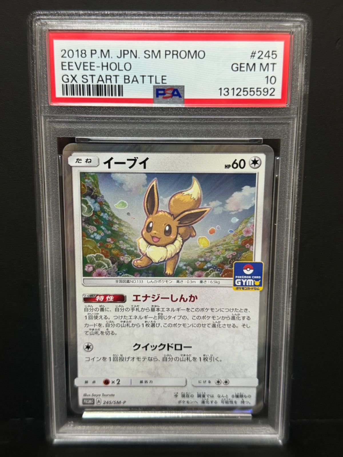 PSA10 イーブイ 245/SM-P PROMO プロモ GYM ポケモンカード EEVEE